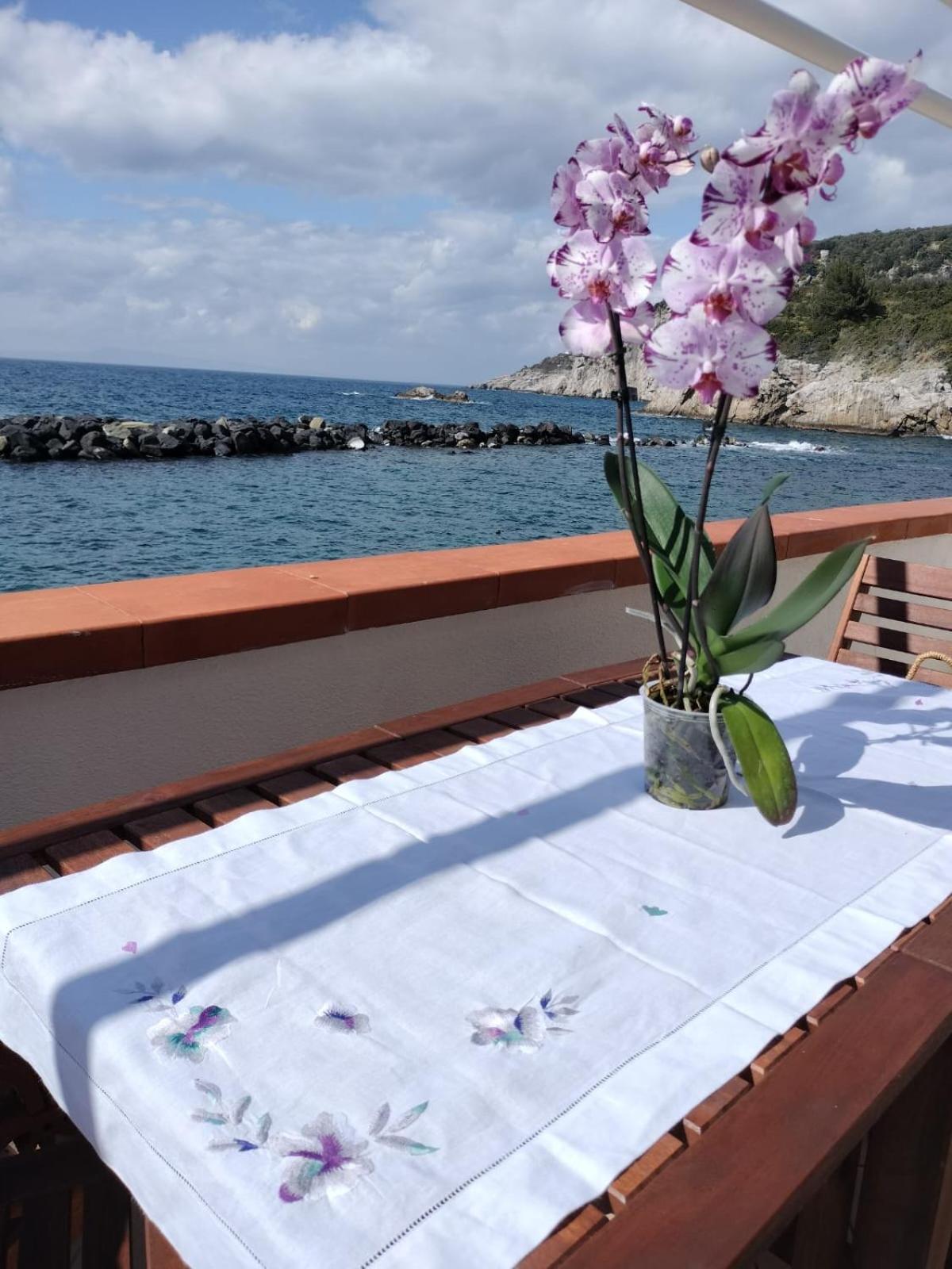 Casa Vacanza Verde Smeraldo- Massa Lubrense Eksteriør bilde